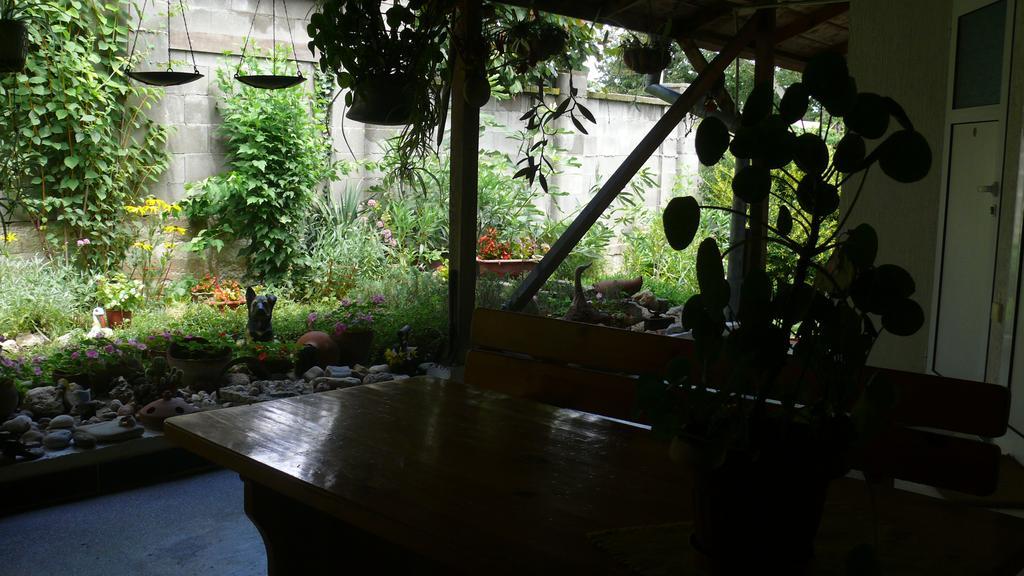 Villa Climate Guest House Varna Exterior foto